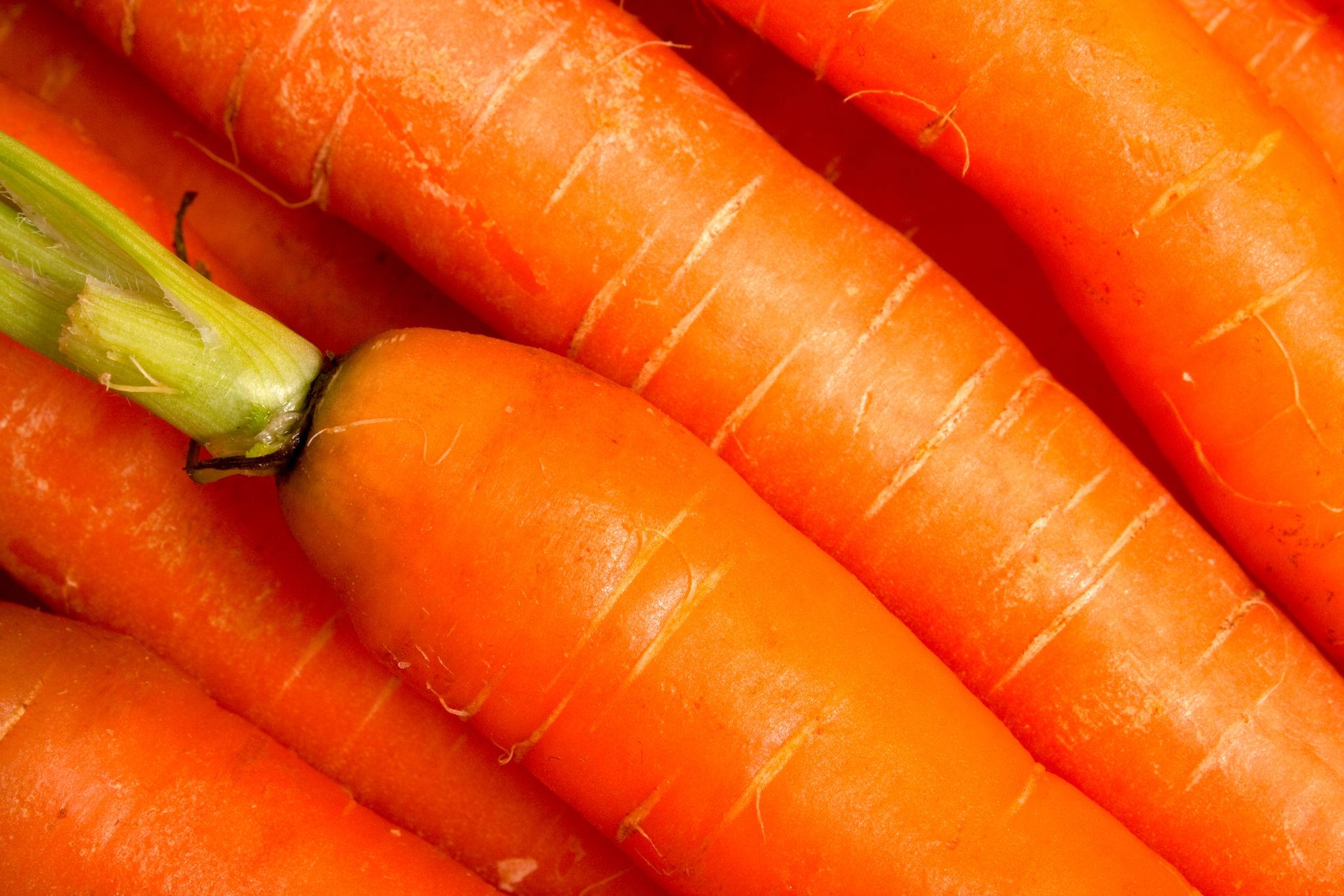 Premium Garden Carrots - Image 3