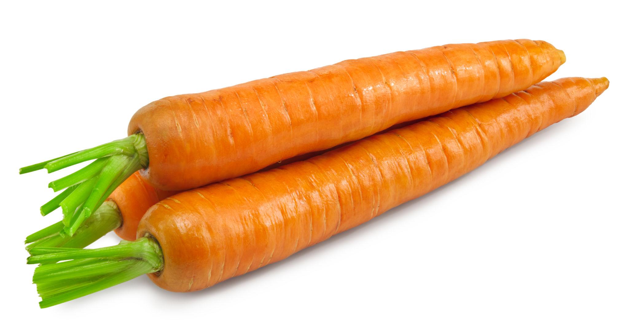 Premium Garden Carrots - Image 5