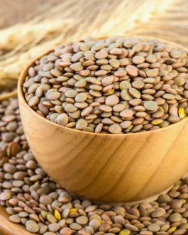 Whole Brown Lentils